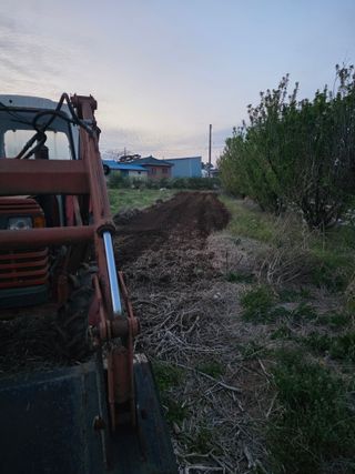 이광님의 기타작물 · 영농일지 작성글 사진
