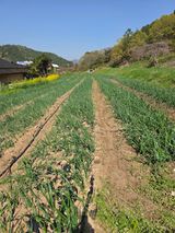 김성환님의 작성글 사진