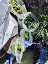 조영기님의 작성글 사진