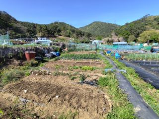 조영기님의 기타작물 · 영농일지 작성글 사진