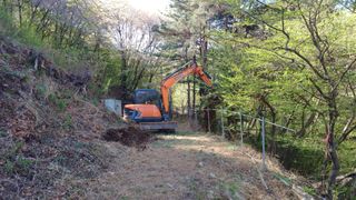 이순기님의 두릅 · 영농일지 작성글 사진