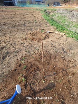 이수홍(이창희)님의 기타작물 · 영농일지 작성글 사진