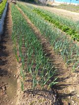 너바라기님의 작성글 사진