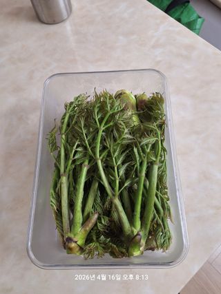 이수홍(이창희)님의 기타작물 · 영농일지 작성글 사진