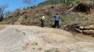 이순기님의 두릅 · 영농일지 작성글 사진
