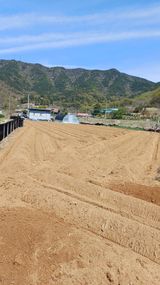 팜모닝 기타작물·영농일지 게시글 이미지