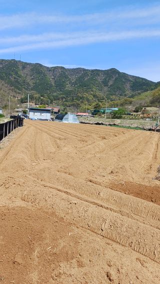 박순덕님의 기타작물 · 영농일지 작성글 사진