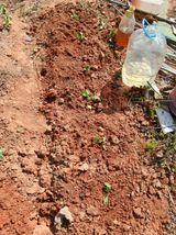 엄기덕님의 작성글 사진