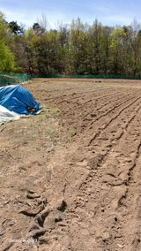 김영열님의 작성글 사진