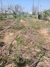 엄기덕님의 작성글 사진