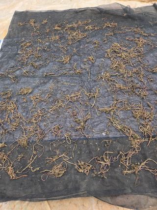 김연숙님의 기타작물 · 영농일지 작성글 사진