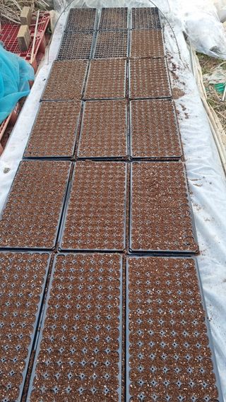 김지철님의 기타작물 · 영농일지 작성글 사진