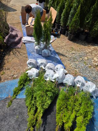 행복한나무농장님의 기타작물 · 영농일지 작성글 사진