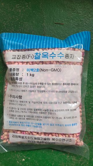  조약돌님의 작성글 사진