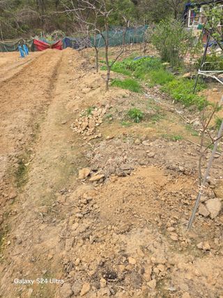 소병찬님의 상추 · 영농일지 작성글 사진