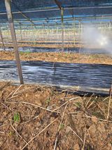 두릅나무9056님의 작성글 사진