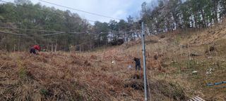 돈디아고(김덕수)님의 두릅 · 영농일지 작성글 사진