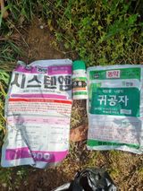 팜모닝 사과·영농일지 게시글 이미지