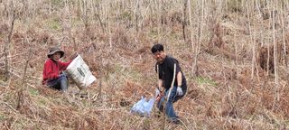 돈디아고(김덕수)님의 두릅 · 영농일지 작성글 사진