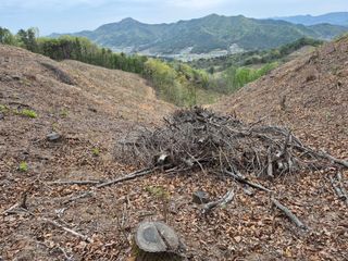 엉뚱님의 기타작물 · 영농일지 작성글 사진