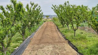 산수화풍님의 기타작물 · 영농일지 작성글 사진