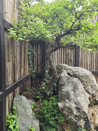 김영순님의 작성글 사진