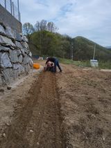 팜모닝 옥수수·영농일지 게시글 이미지