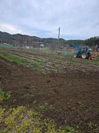 신호진님의 콩 · 영농일지 작성글 사진