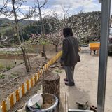 가로수님의 작성글 사진