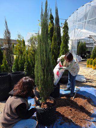 행복한나무농장님의 기타작물 · 영농일지 작성글 사진