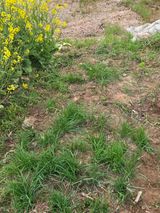 정조연님의 작성글 사진