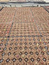 신상섭님의 작성글 사진