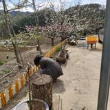 가로수님의 작성글 사진