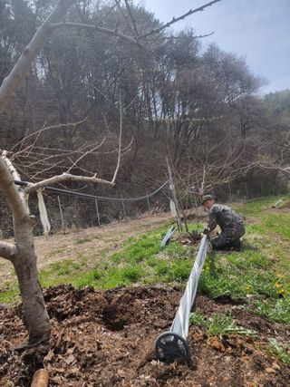 박기택님의 복숭아 · 영농일지 작성글 사진