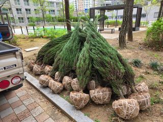 행복한나무농장님의 기타작물 · 영농일지 작성글 사진