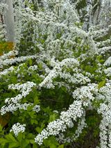 이익수님의 작성글 사진