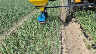 박민규님의 마늘 · 영농일지 작성글 사진