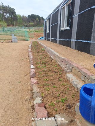 이수홍(이창희)님의 기타작물 · 영농일지 작성글 사진