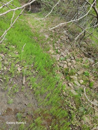 윤석돈님의 기타작물 · 영농일지 작성글 사진