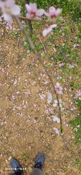 장용선 사진작가농부님의 작성글 사진