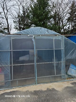 김병효님의 기타작물 · 영농일지 작성글 사진