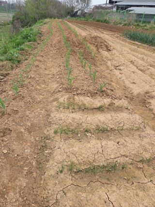 자연의치유님의 기타작물 · 영농일지 작성글 사진