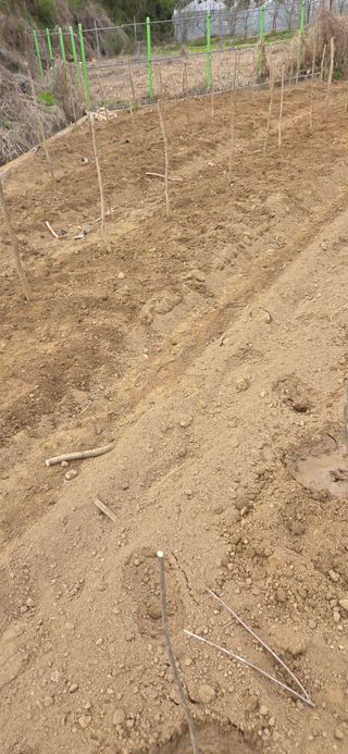 이해창님의 기타작물 · 영농일지 작성글 사진