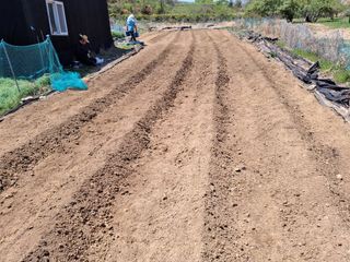 하중규(고추 재배)님의 작성글 사진