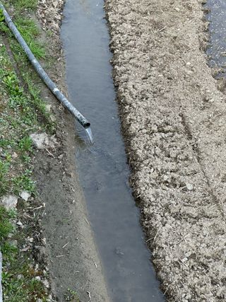 이익수님의 벼 · 영농일지 작성글 사진