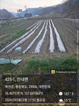 팜모닝 옥수수·영농일지 게시글 이미지