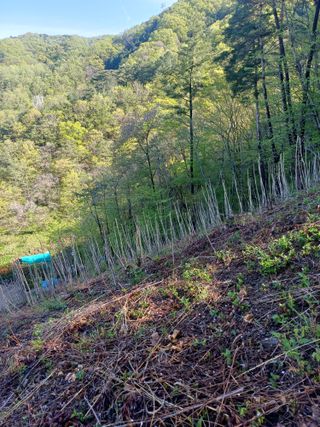 보공(김대호)님의 기타작물 · 영농일지 작성글 사진