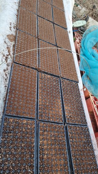 김지철님의 기타작물 · 영농일지 작성글 사진