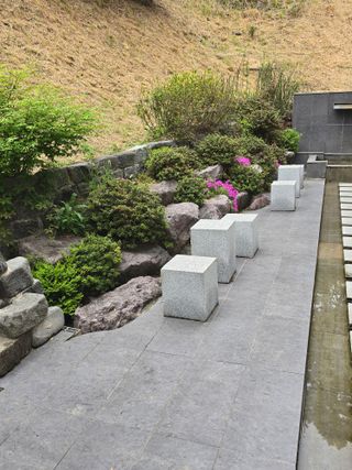 김영순님의 기타작물 · 영농일지 작성글 사진