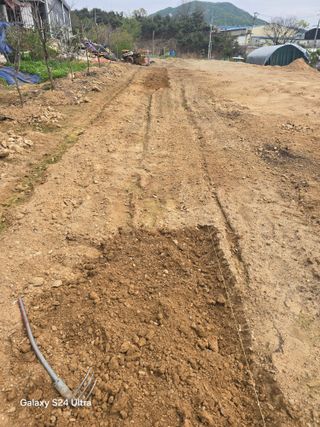 소병찬님의 상추 · 영농일지 작성글 사진